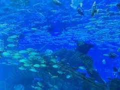 -波塞冬海底世界