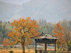 -塔川景区