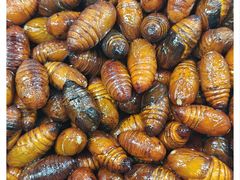 -和源祥·日照菜扛把子(万平口一店)