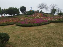 -东莞植物园