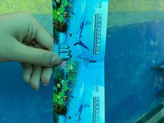 -太平洋海底世界