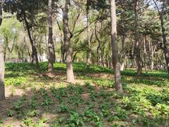 -长春市南湖公园