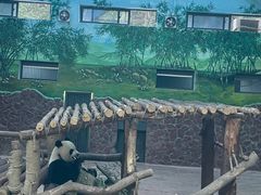 -黔灵山公园