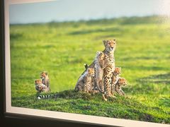 -罗红摄影艺术馆