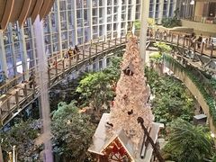 -二刀潮牛(重庆光环购物公园店)