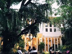 -Fern Forest Cafe
