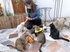 -喵屿·大理花园猫咖