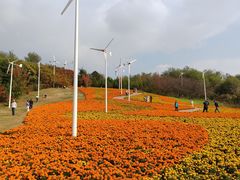 -沈阳植物园