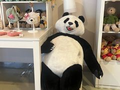 -成都泰迪熊博物馆