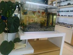 -好宜家眼视光·蔡司店(临汾店)