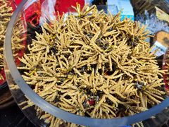 -中国农业博物馆