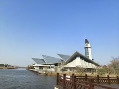 -盐城丹顶鹤湿地生态旅游区