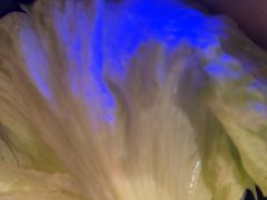 -晓宇重庆火锅(西安荟聚店)