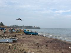 -尼甘布海鲜市场