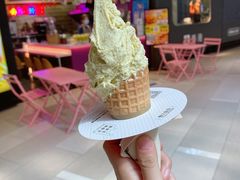 开心果冰激凌-野人先生现做冰淇淋(北京环宇荟店)