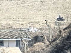 -河口景区
