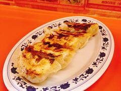 煎饺子-拉面莊夢語＆中华料理八椿