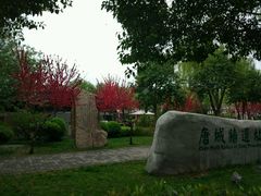 -唐城墙遗址公园