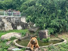 -无锡动物园·太湖欢乐园
