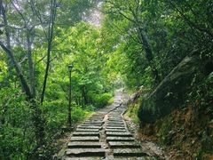 -阳台山森林公园