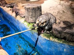 -正佳雨林生态植物园