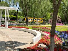 -石家庄市植物园