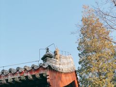 -潭柘寺景区