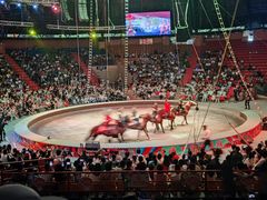 -俄罗斯国家大马戏团