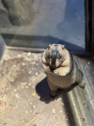 -酷嗒动物文化乐园(cutezoo西溪乐天城店)