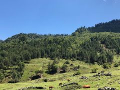 -硗碛藏寨·神木垒景区