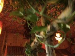 -鱼窝棚柴火铁锅炖(富山屯店)