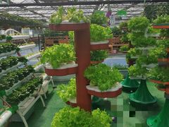 -兰陵国家农业公园