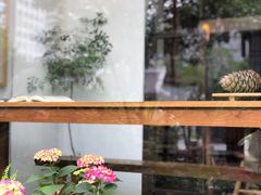-知亘茶食
