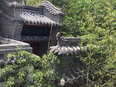 -老张烤羊(王哥庄店)