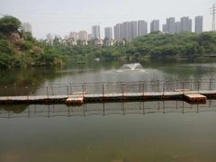 -重庆彩云湖湿地公园
