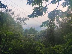 -紫金山山顶公园