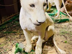 -陕西自然博物馆