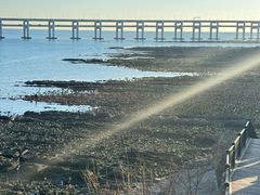 -辰熙ACX星海艺术中心