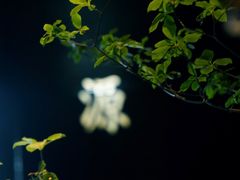 -三利音·东方司宴(外滩店)
