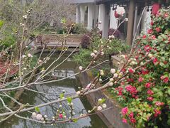 -苏州涵园假日酒店花园餐厅