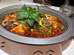 -黔渔翁豆花渎鱼(喷水池店)