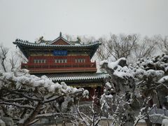 -迎泽公园