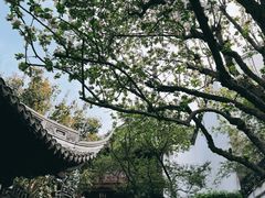 -豫园