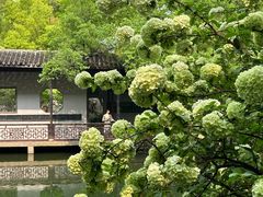 -惠山古镇·寄畅园