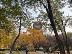 -玲珑塔公园
