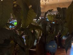 -凯撒城堡西餐厅(颐和国际店)