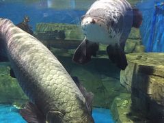 -石林冰雪海洋世界