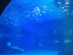 -常州海昌海洋探索馆