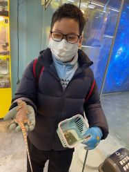 -神奇动物撸宠馆·羊驼·小浣熊·异宠(豫园店)