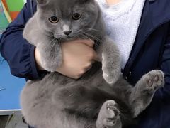 -宠颐生中康贝怡动物医院